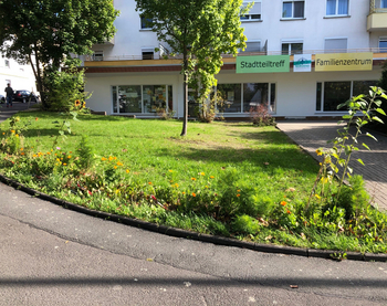 Blühstreifen vor dem Stadtteiltreff